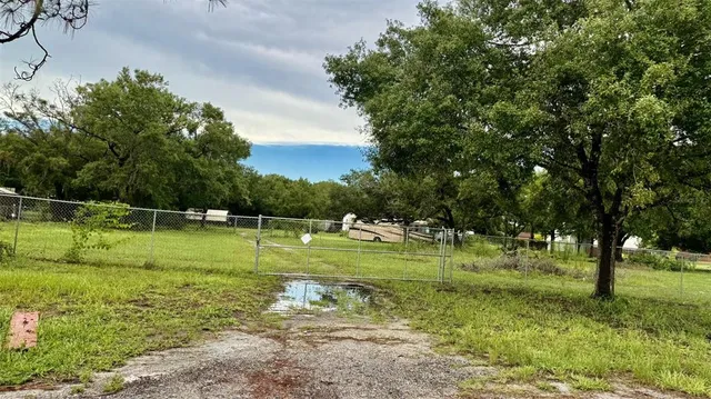 a view of a park with large trees