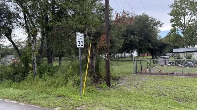 a backyard of a house with lots of green space