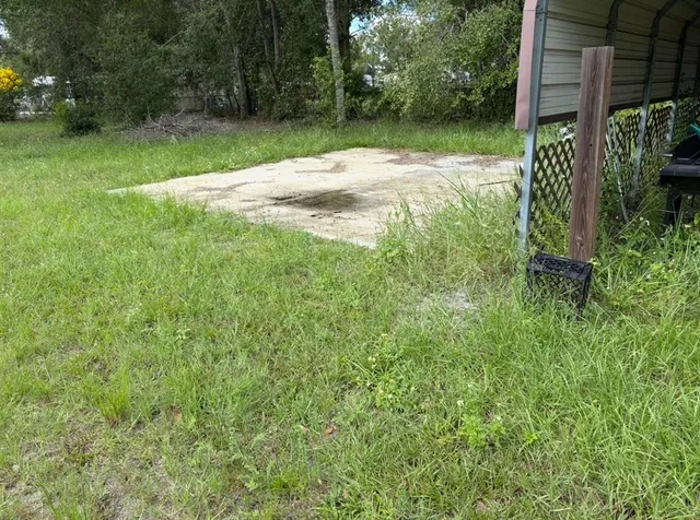 a view of backyard with green space