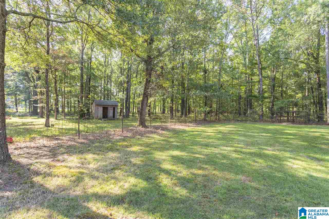 1955 Lumley Road Rainbow City, AL 35906 - Photo 46 of 49