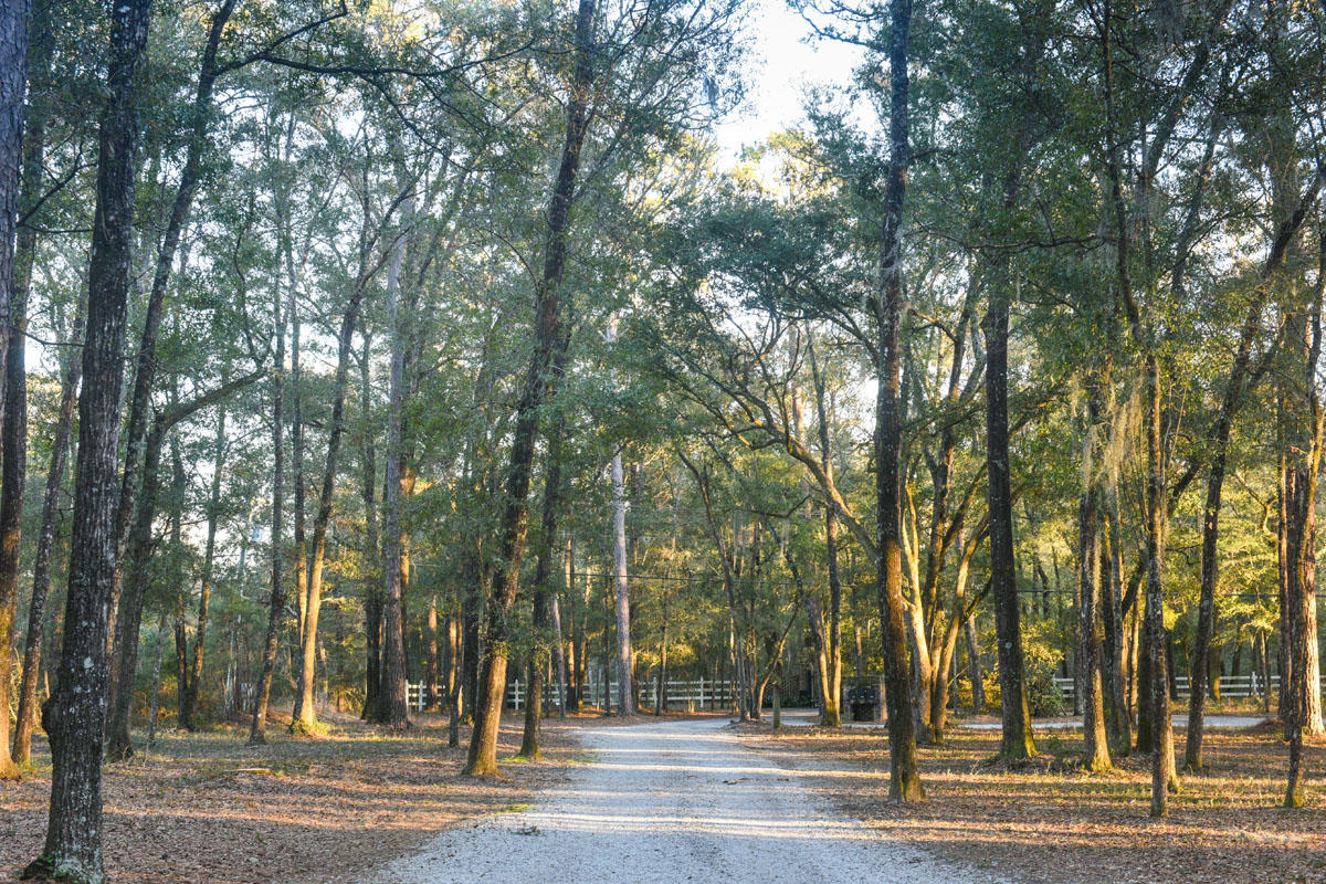 2928 Bohicket Road Johns Island, SC 29455 - Photo 22 of 23 DSC_4762