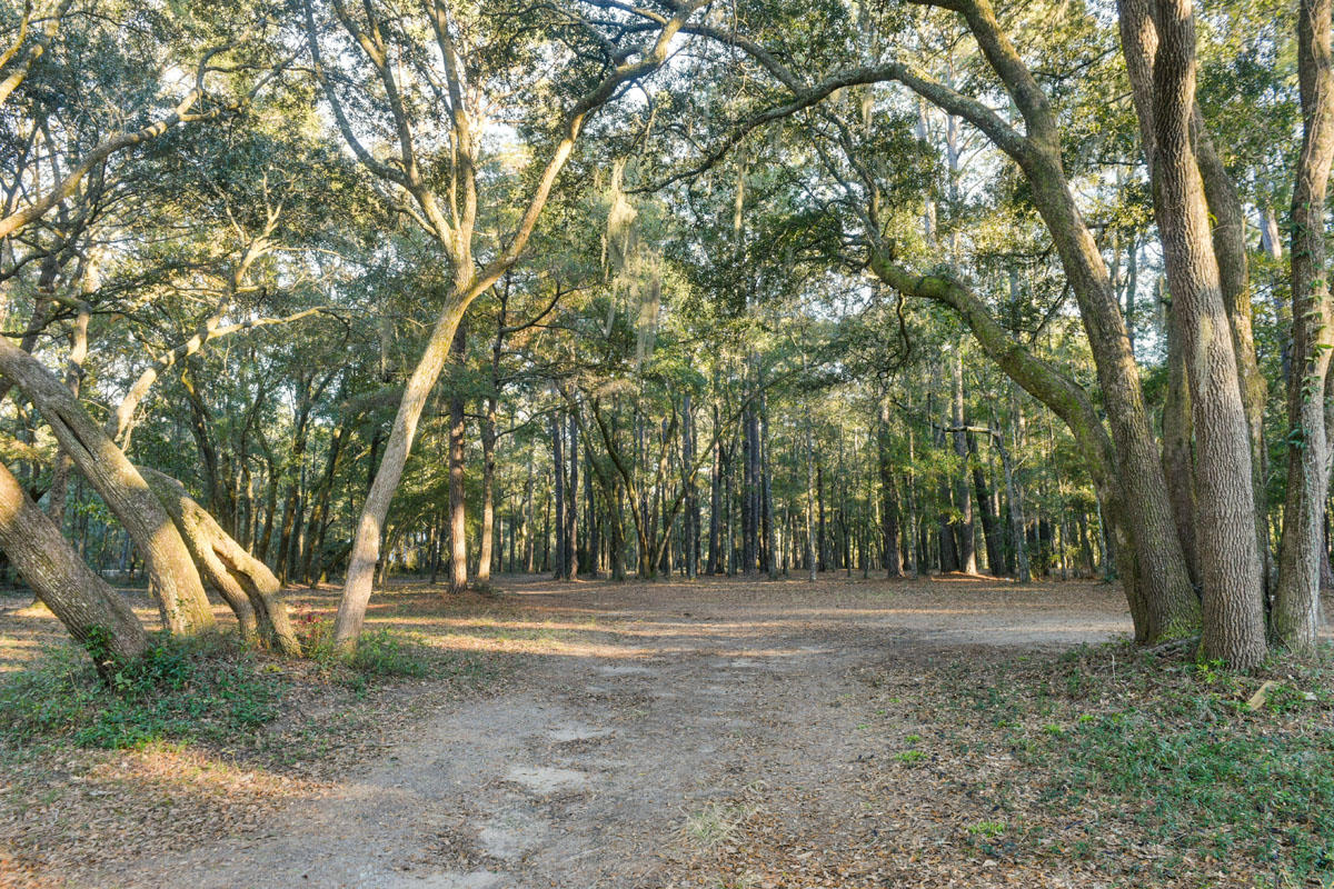 2928 Bohicket Road Johns Island, SC 29455 - Photo 5 of 23 DSC_4659