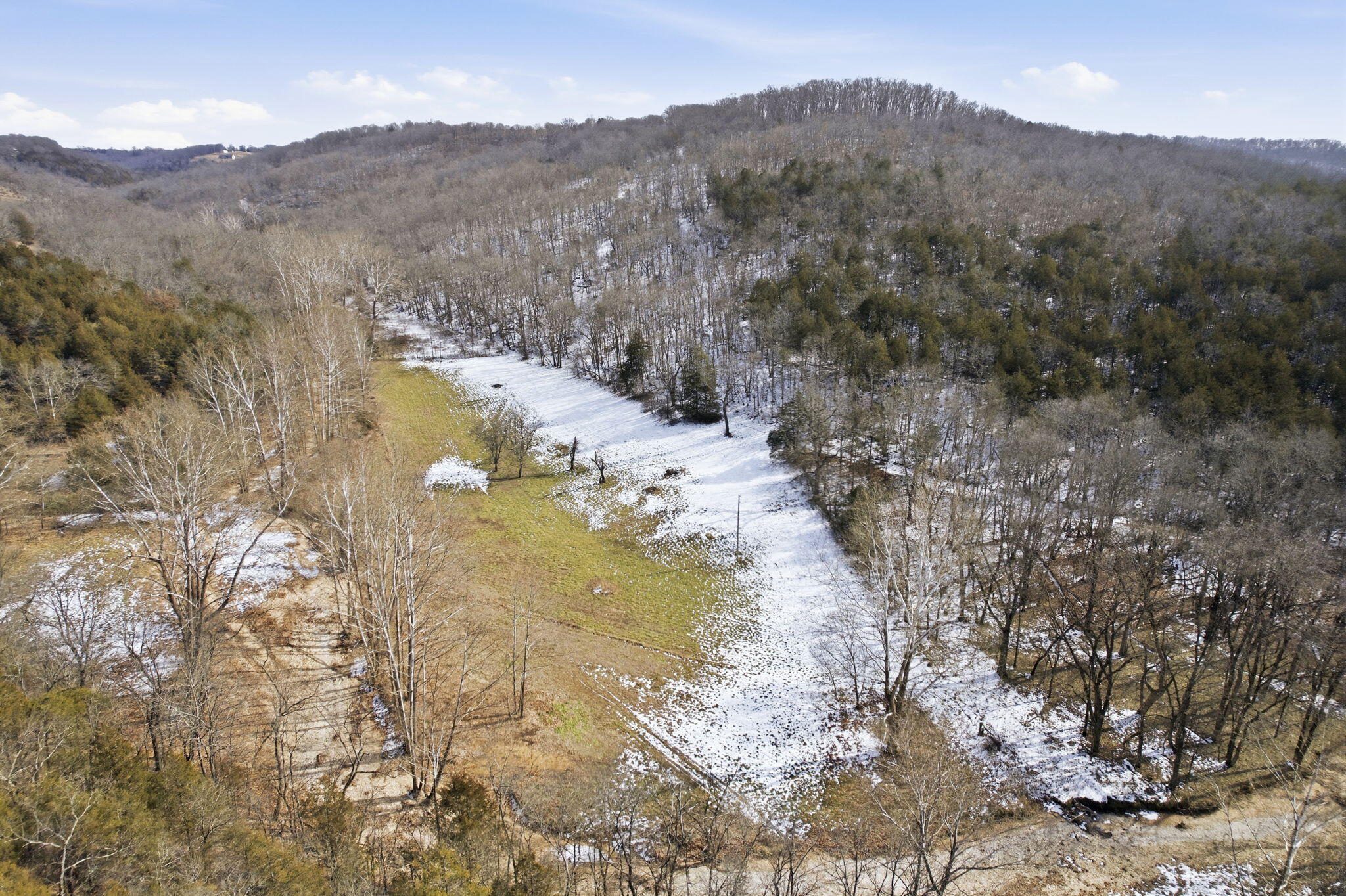 0 Reno Springs Road Walnut Shade, MO 65771 - Photo 15 of 19 12-web-or-mls-DJI_0972