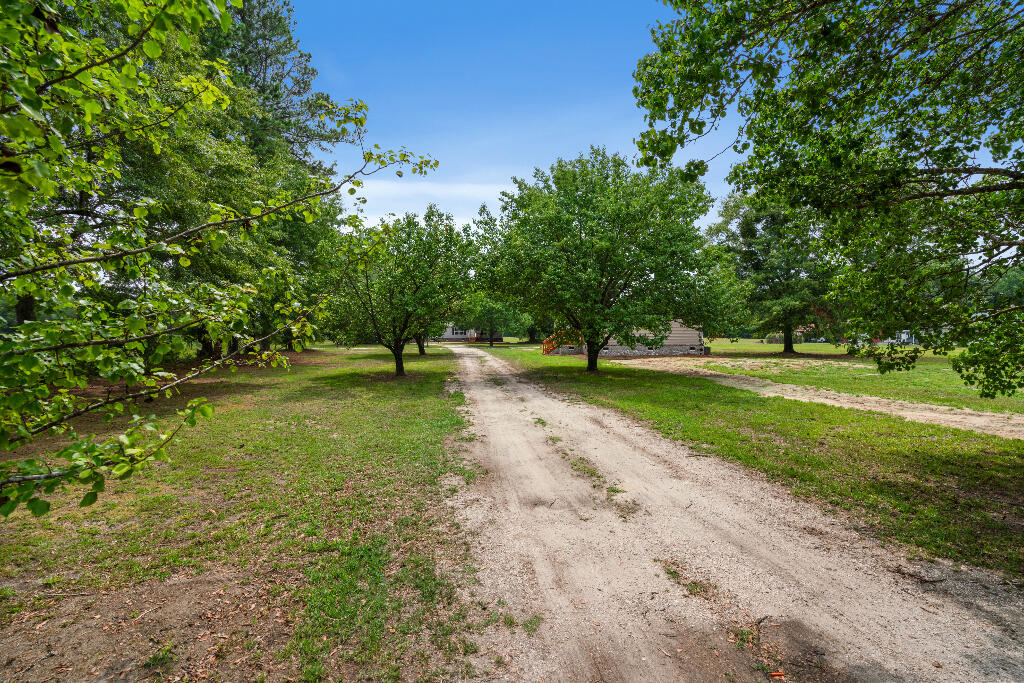 1657 Short Cut Road Cross, SC 29436 - Photo 4 of 30 03