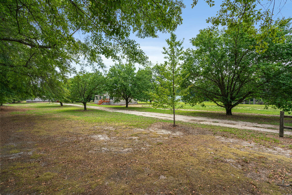 1657 Short Cut Road Cross, SC 29436 - Photo 7 of 30 06