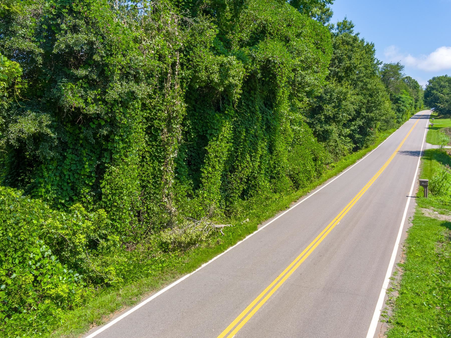 0 Mayfield Road Duncan, SC 29334 - Photo 3 of 17
