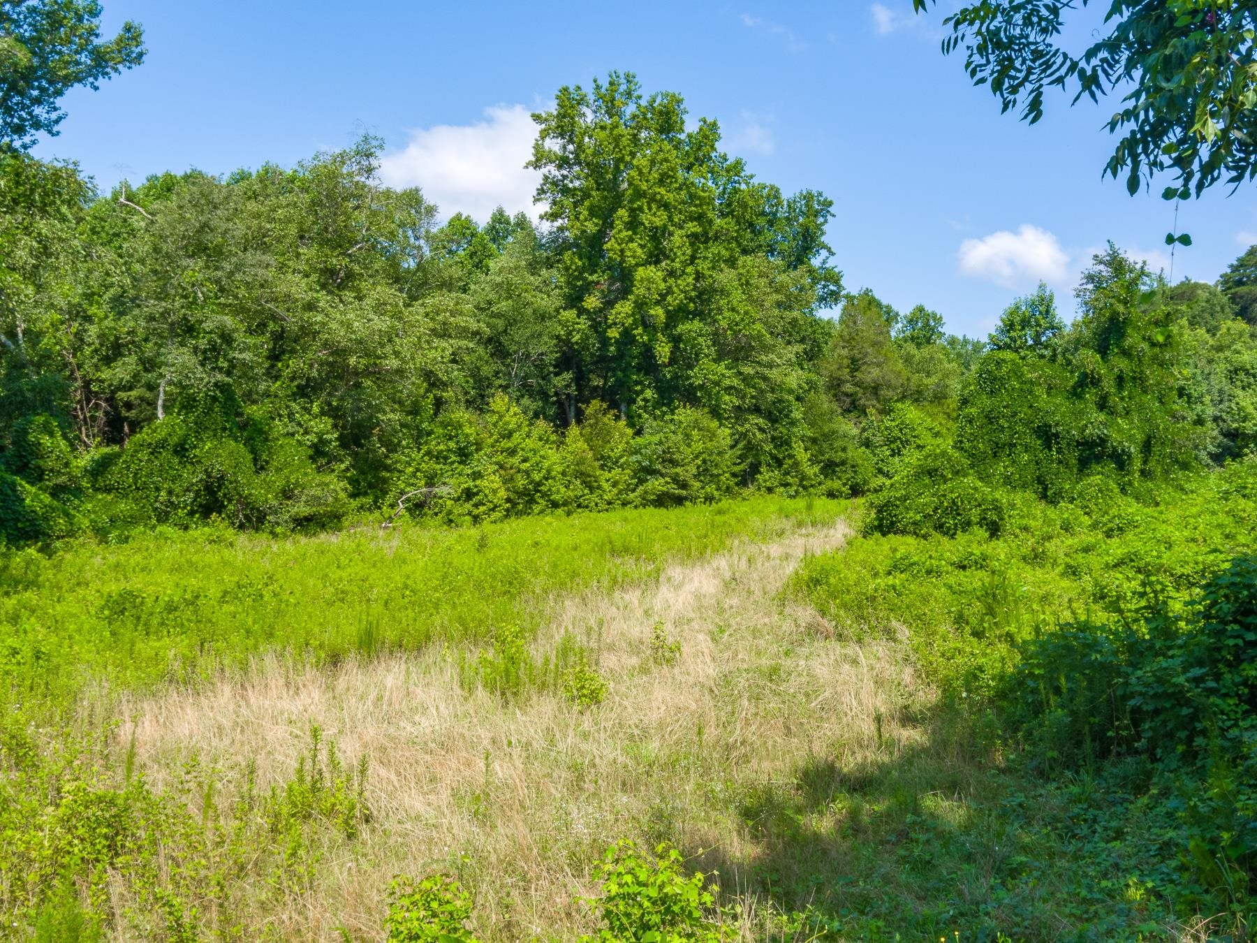 0 Mayfield Road Duncan, SC 29334 - Photo 4 of 17