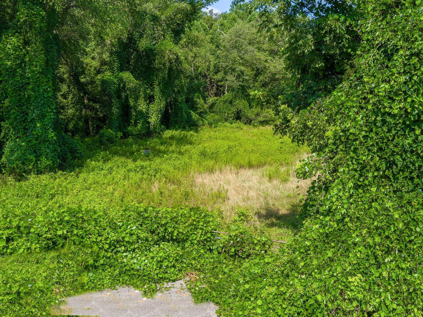 0 Mayfield Road Duncan, SC 29334 - Photo 5 of 17