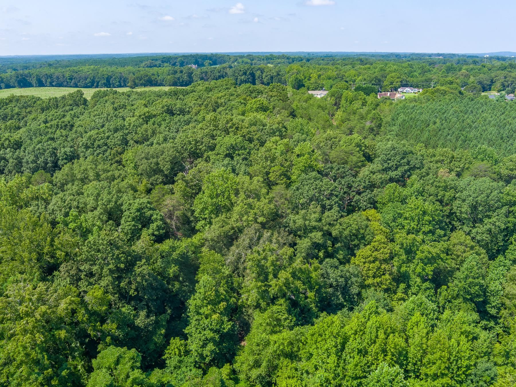 0 Mayfield Road Duncan, SC 29334 - Photo 8 of 17