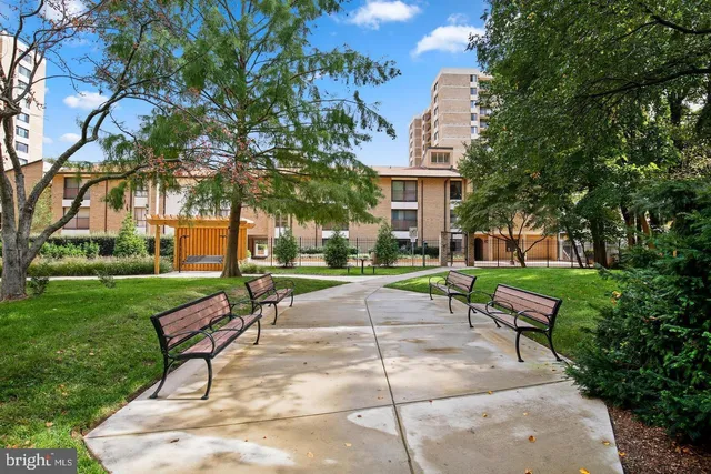 a view of a park with bench and trees