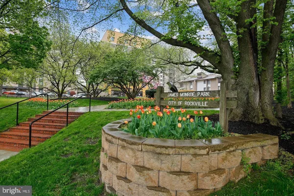 a view of a garden with plants and large trees