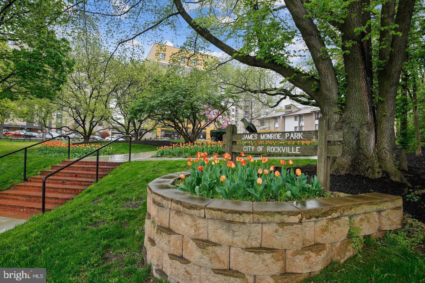 4 Monroe Street, Unit 802 Rockville, MD 20850 - Photo 36 of 44 a view of a garden with plants and large trees