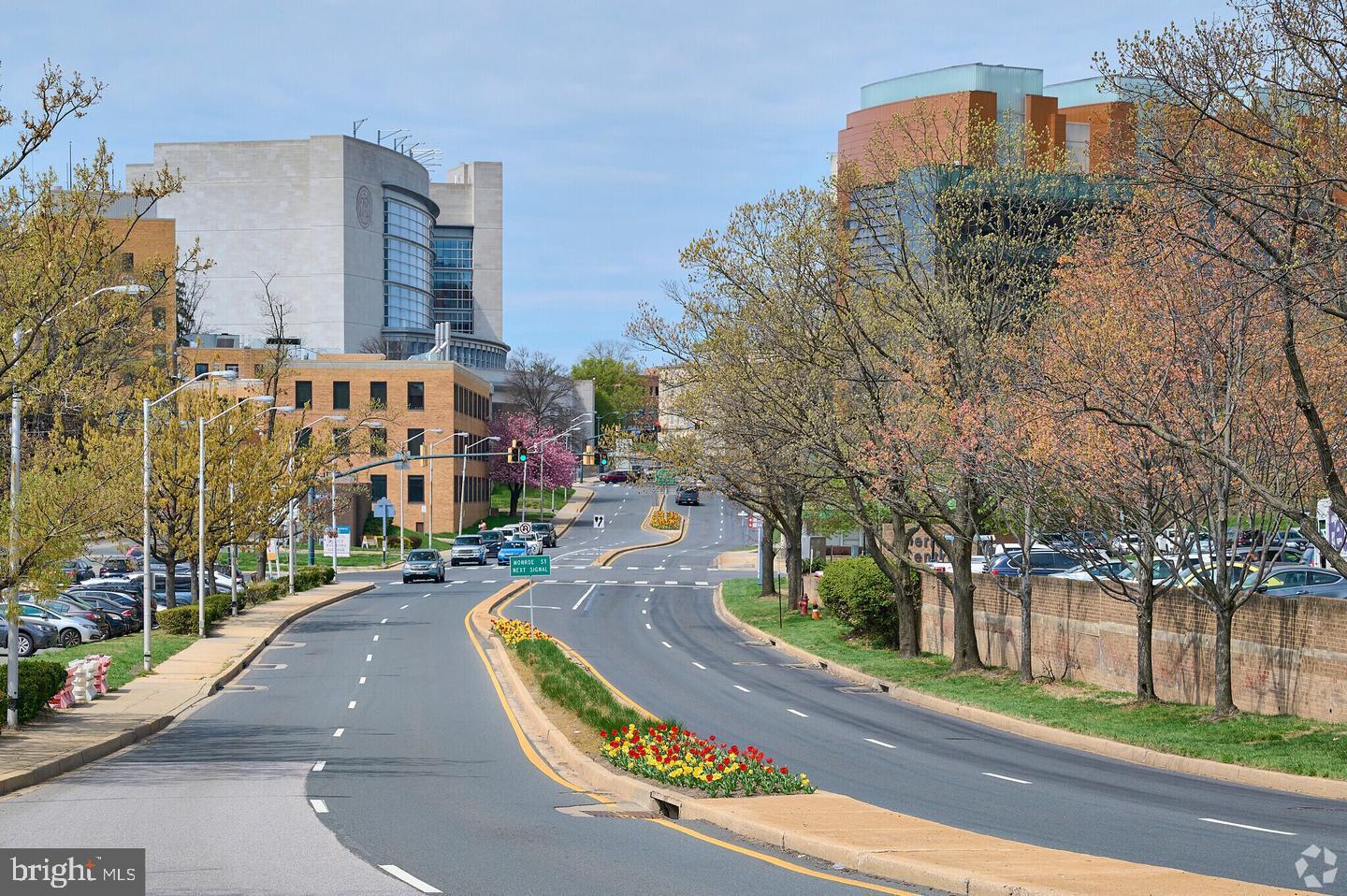 4 Monroe Street, Unit 802 Rockville, MD 20850 - Photo 42 of 44 a view of a city with tall buildings