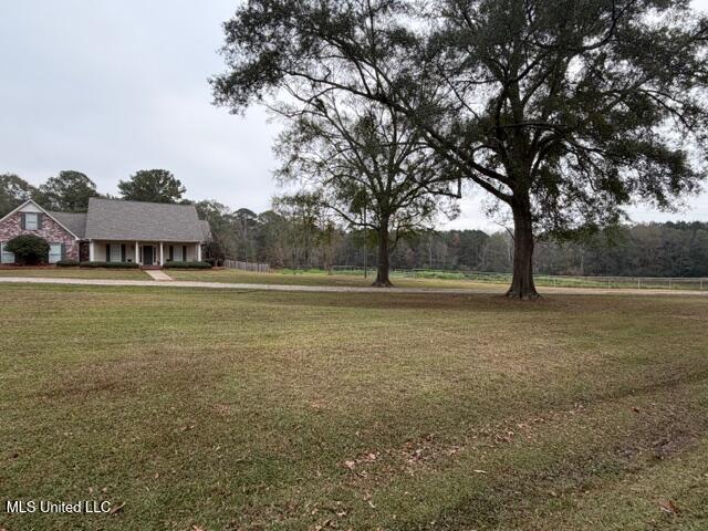428 Walters Road Pelahatchie, MS 39145 - Photo 4 of 80 IMG_3825