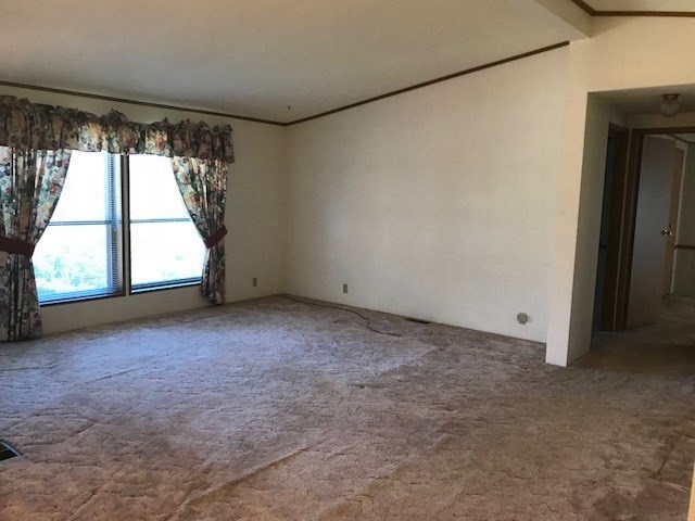 4708 East Big Meadows Road Colbert, WA 99005 - Photo 10 of 12