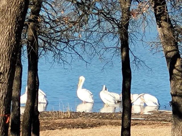a view of a street with a sign board
