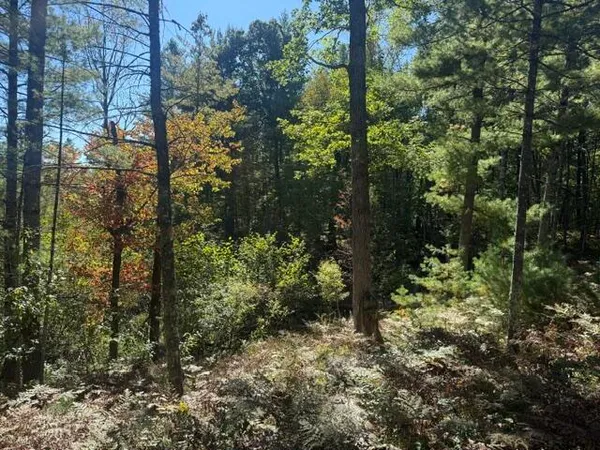 $8,000 | Vl South Bagnell Avenue, Baldwin, MI 49304