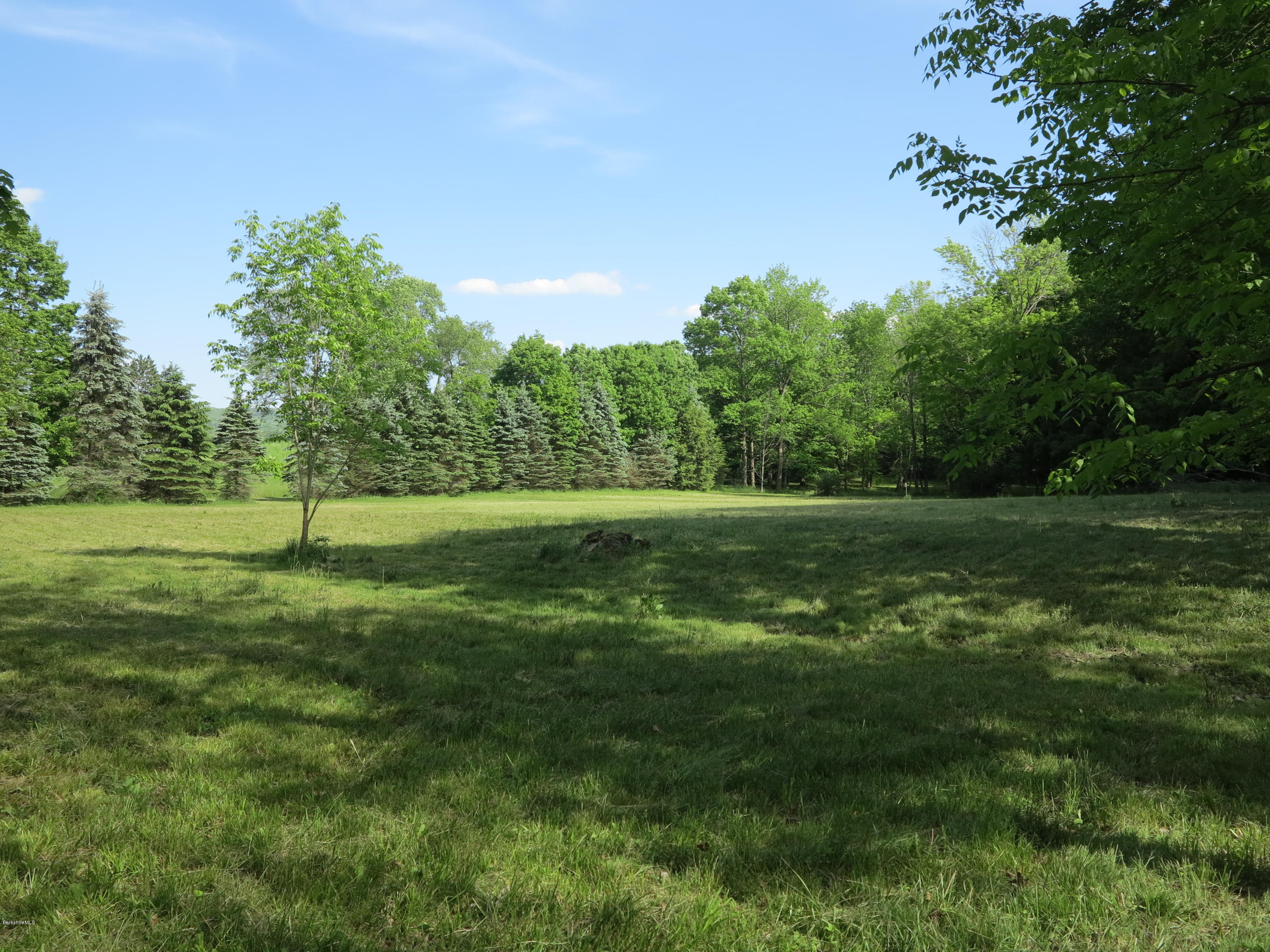 0 Rossiter Road Richmond, MA 01254 - Photo 1 of 10 a view of a green field with a tree