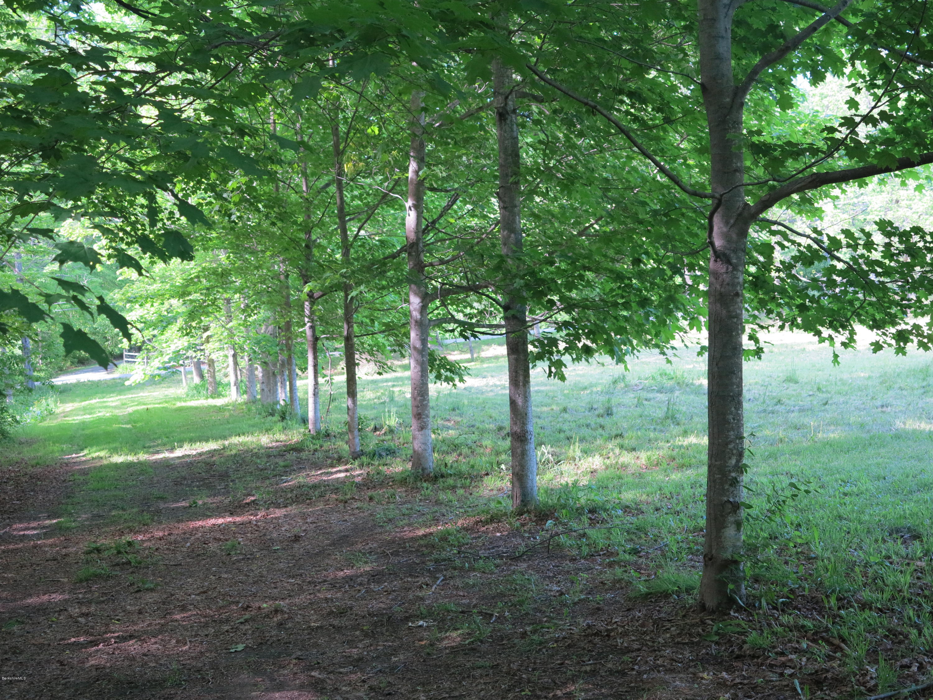 0 Rossiter Road Richmond, MA 01254 - Photo 2 of 10 a view of outdoor space and trees