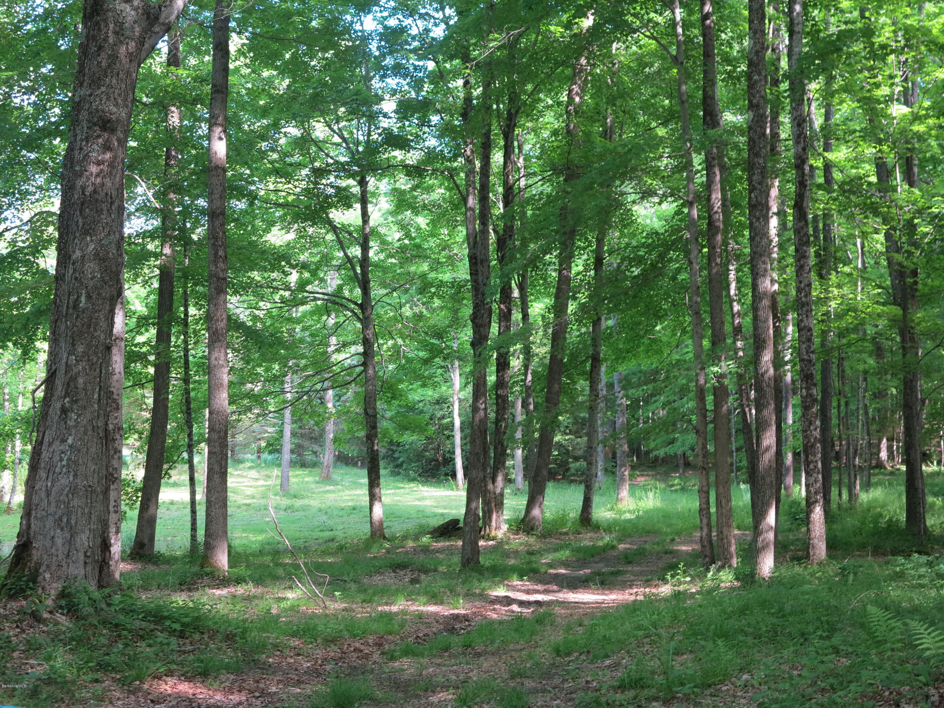 0 Rossiter Road Richmond, MA 01254 - Photo 3 of 10 a view of a backyard with large trees