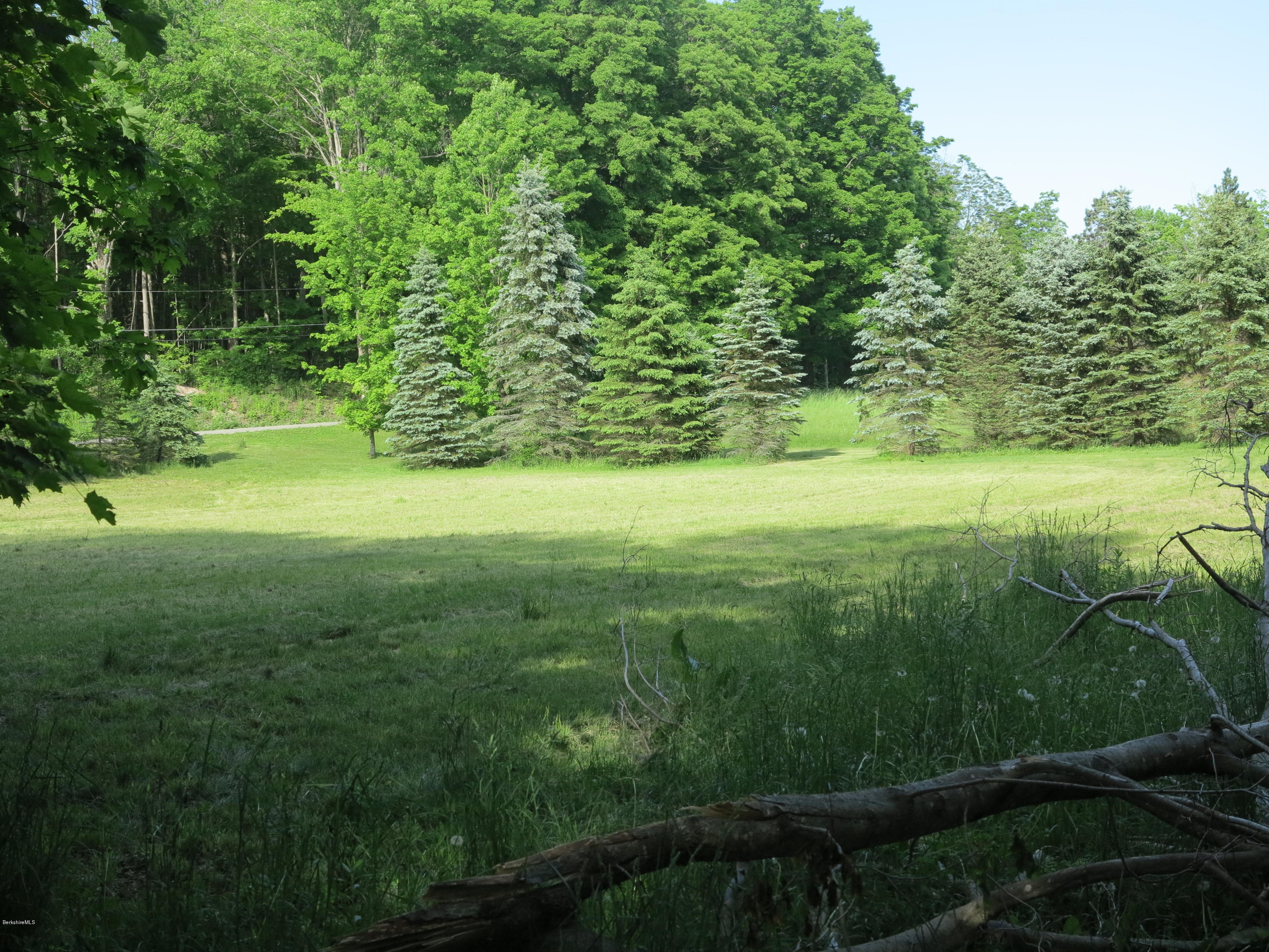 0 Rossiter Road Richmond, MA 01254 - Photo 5 of 10 a view of yard with green space