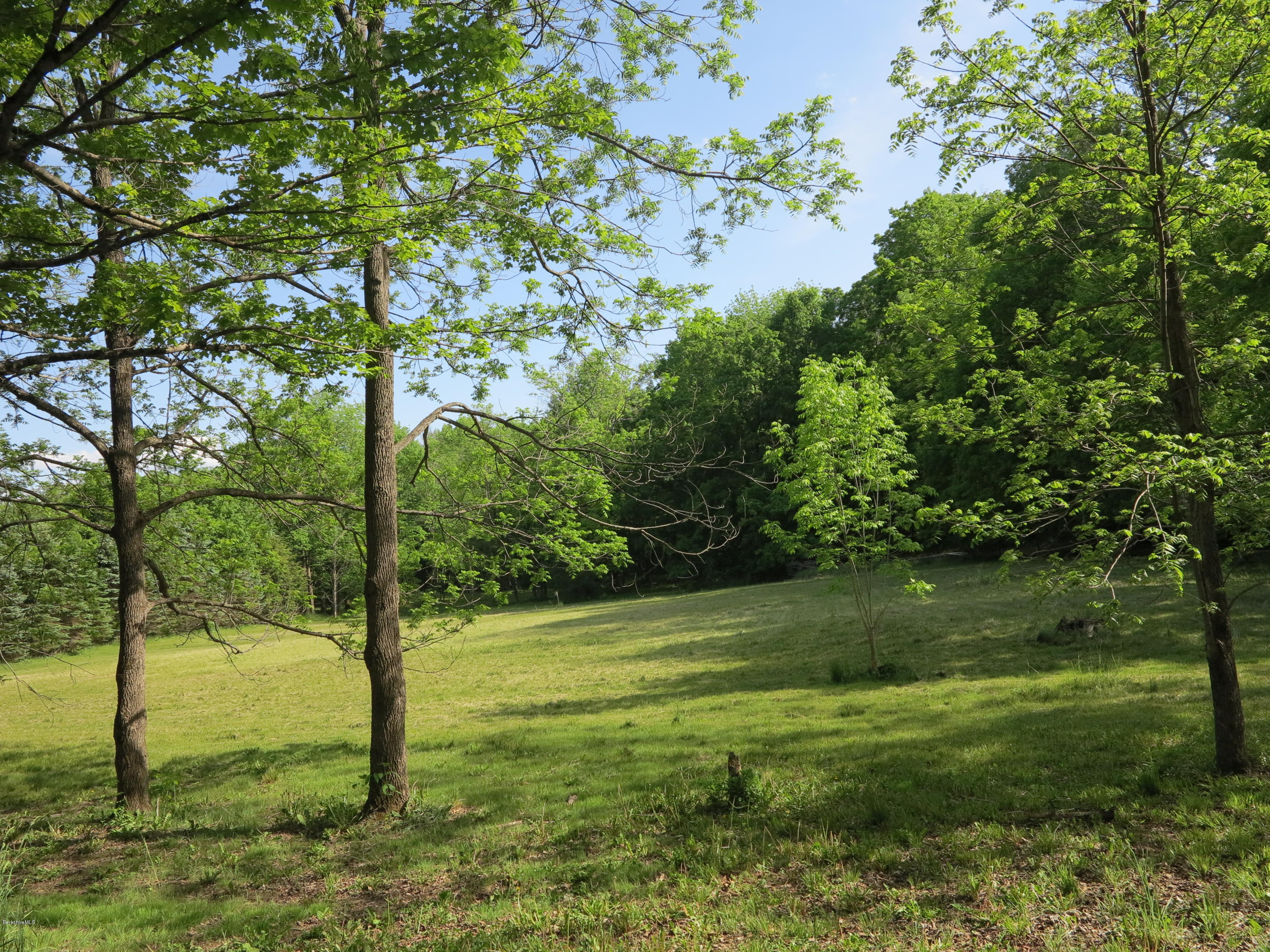 0 Rossiter Road Richmond, MA 01254 - Photo 6 of 10 a view of a garden with a tree