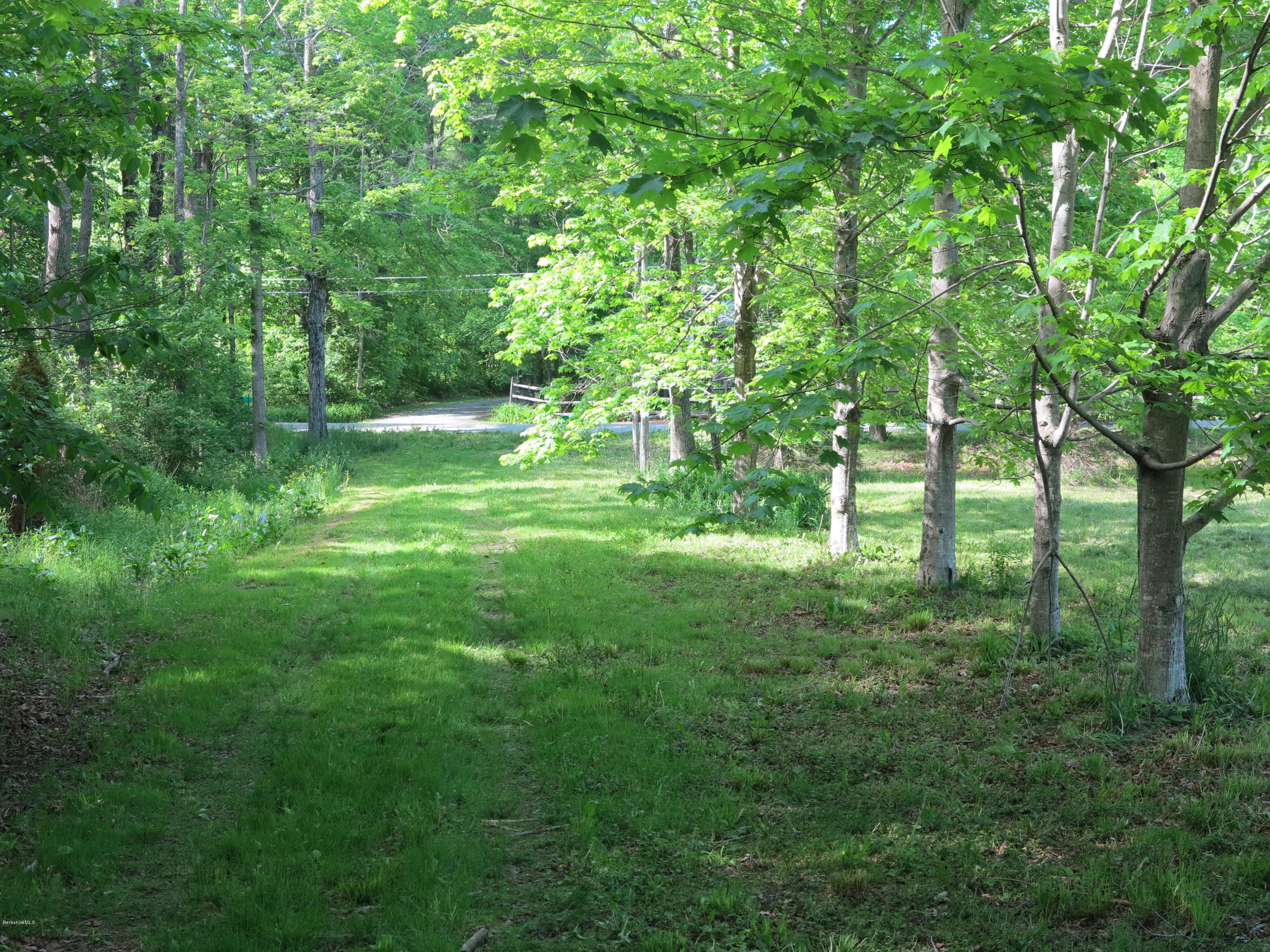 0 Rossiter Road Richmond, MA 01254 - Photo 8 of 10 a view of a lush green space