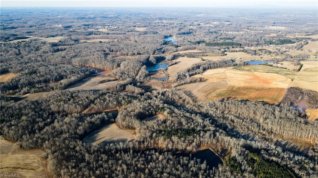 8306 Meadow Green Road Browns Summit, NC 27214 - Photo 11 of 45