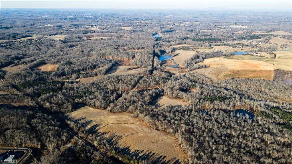 8306 Meadow Green Road Browns Summit, NC 27214 - Photo 13 of 45