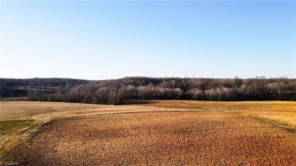 8306 Meadow Green Road Browns Summit, NC 27214 - Photo 22 of 45