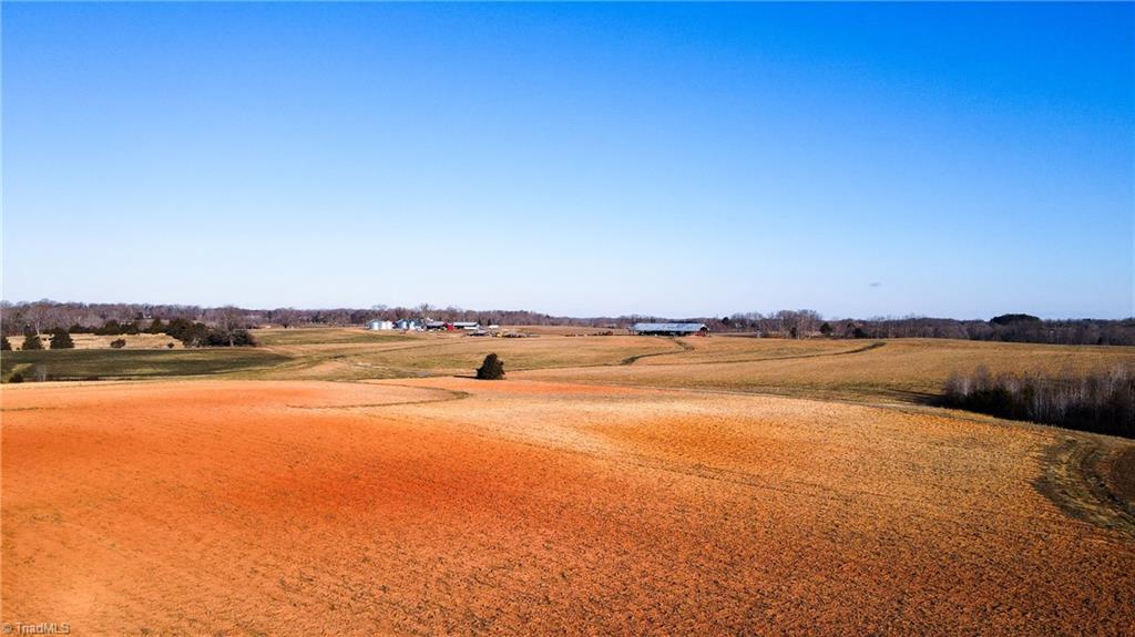 8306 Meadow Green Road Browns Summit, NC 27214 - Photo 24 of 45