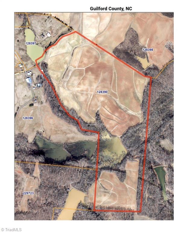 8306 Meadow Green Road Browns Summit, NC 27214 - Photo 4 of 45