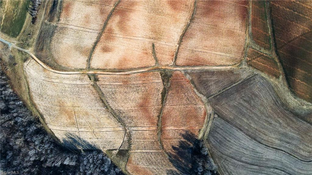 8306 Meadow Green Road Browns Summit, NC 27214 - Photo 42 of 45