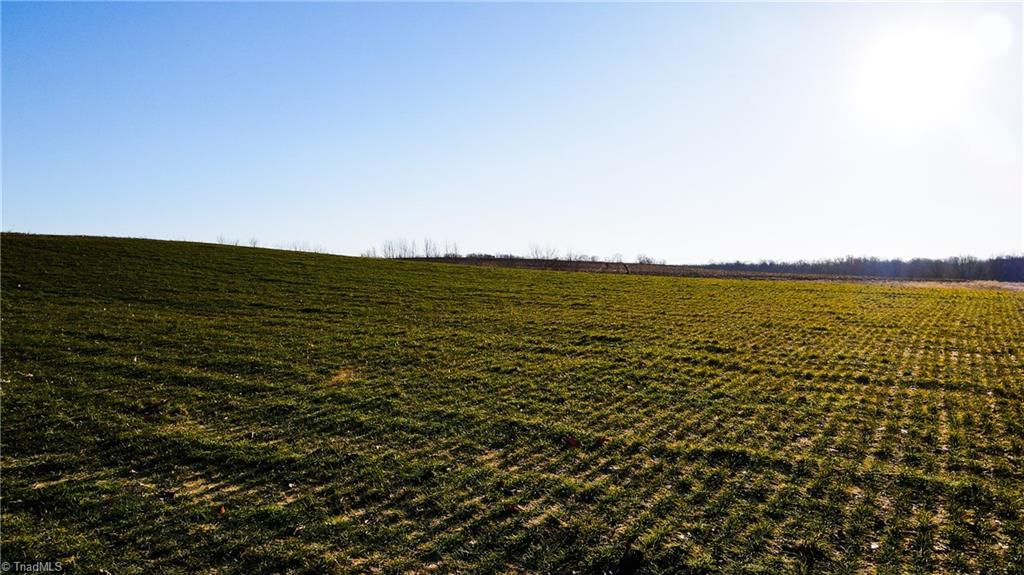 8306 Meadow Green Road Browns Summit, NC 27214 - Photo 45 of 45