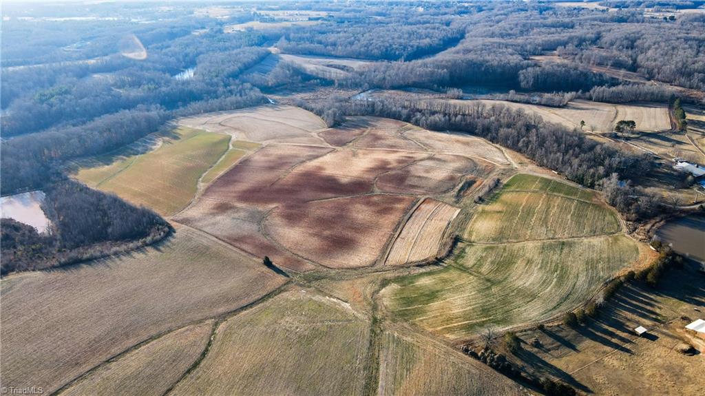 8306 Meadow Green Road Browns Summit, NC 27214 - Photo 6 of 45