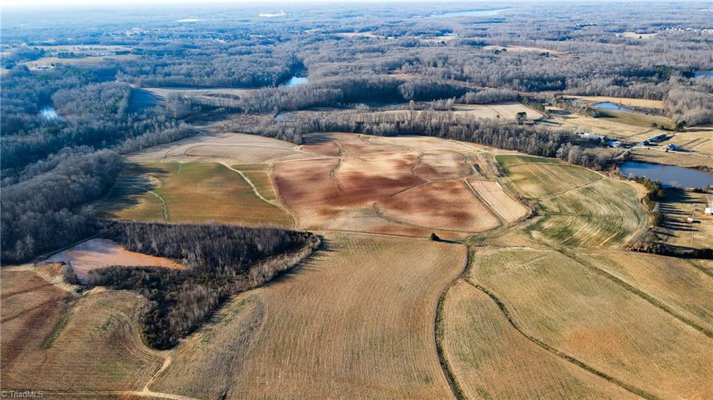 8306 Meadow Green Road Browns Summit, NC 27214 - Photo 7 of 45