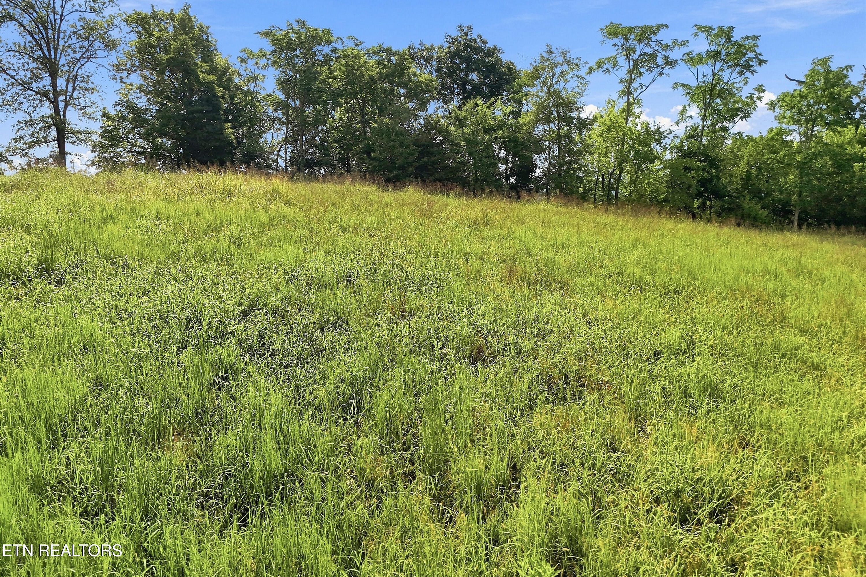 Tbd Holston River Drive Rutledge, TN 37861 - Photo 5 of 19 5_lot43_005