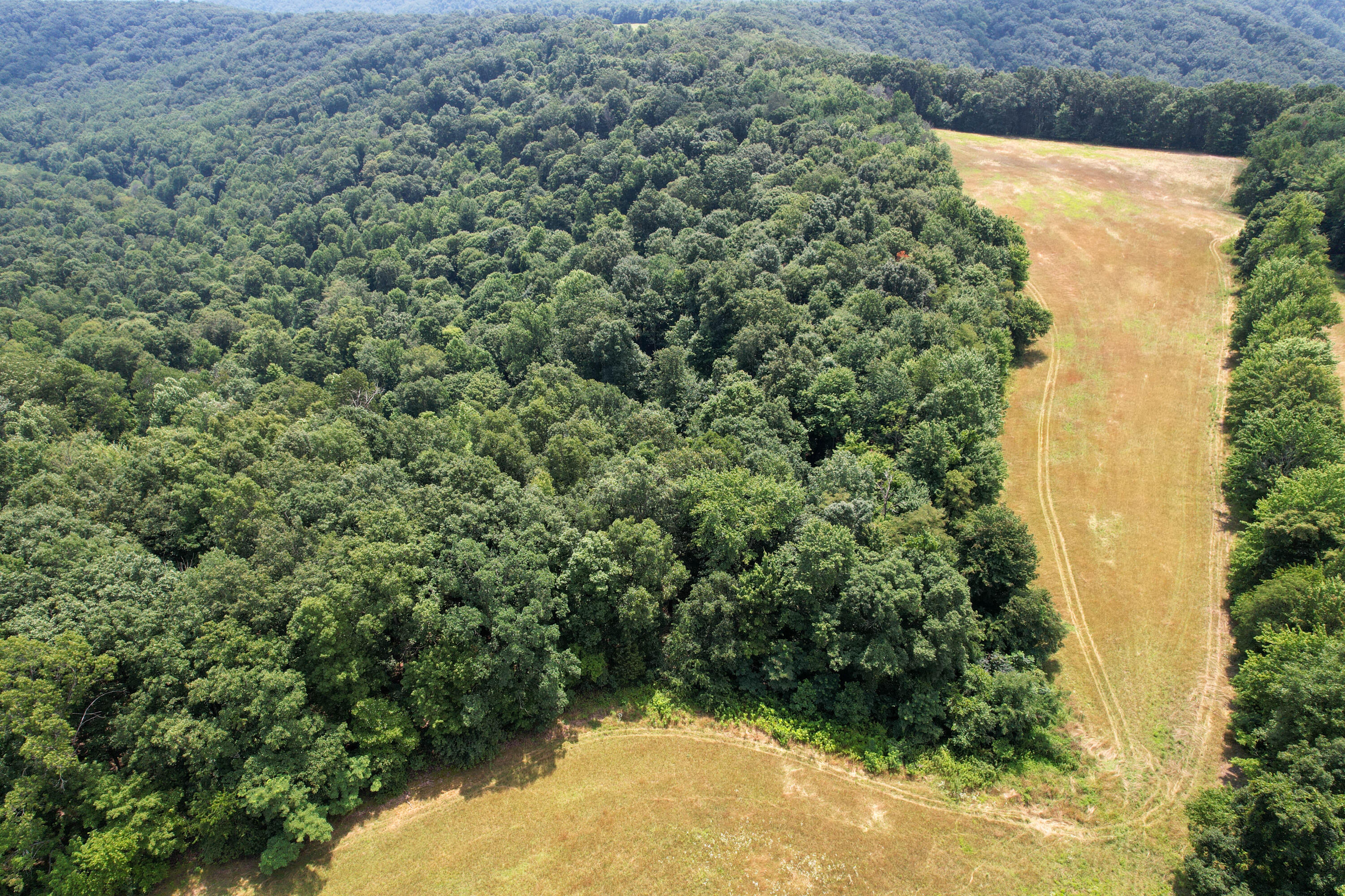 Tbd Mt Vernon Road Hillsboro, KY 41049 - Photo 4 of 27 DJI_0681