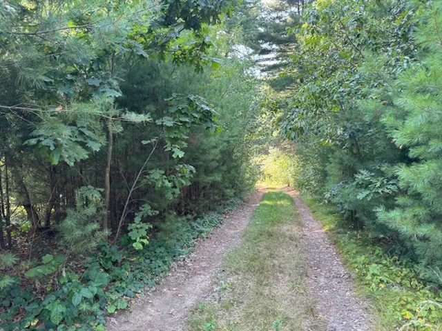 a view of a pathway both side of yard