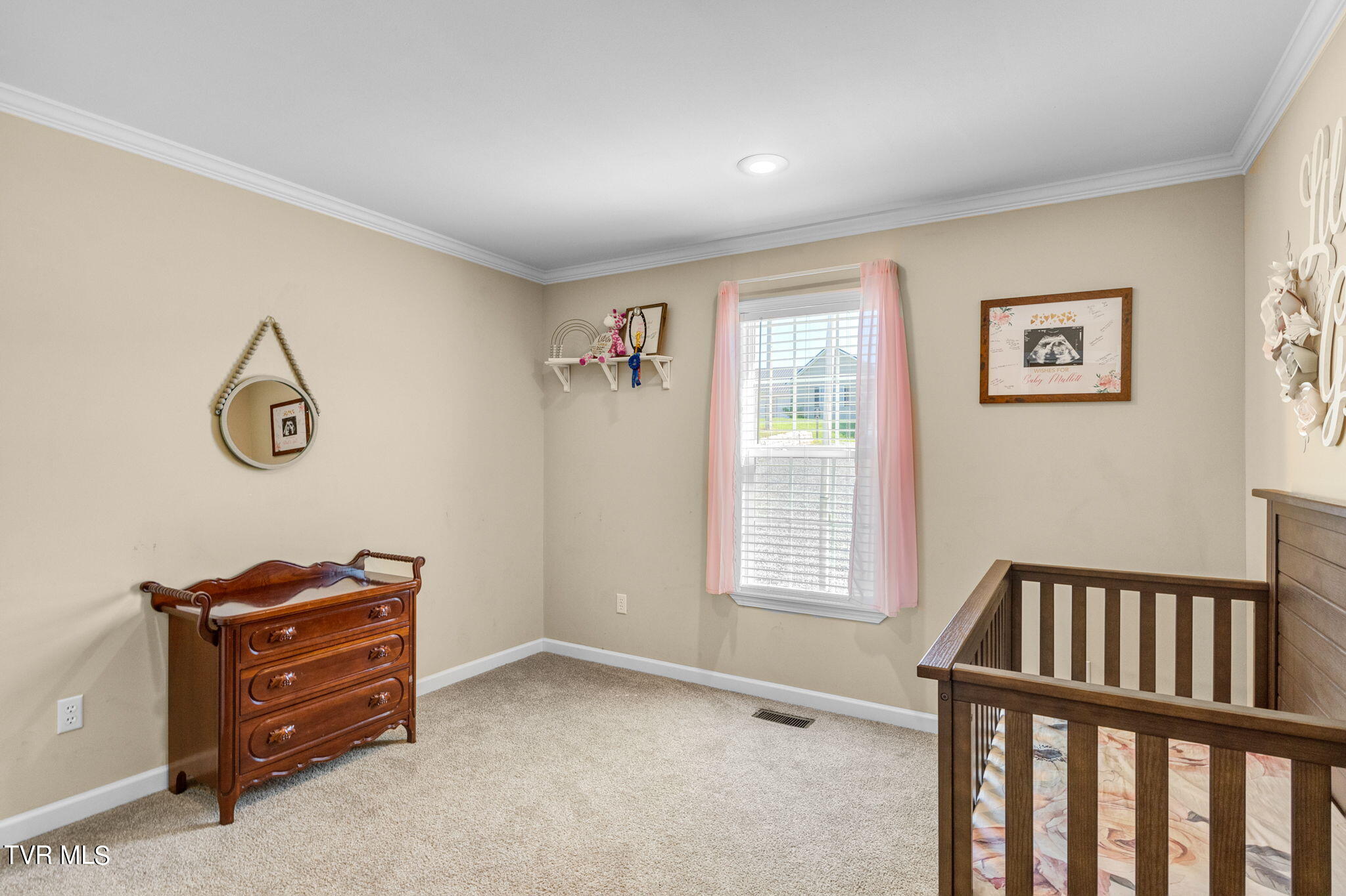 770 Quaker Knob Road Chuckey, TN 37641 - Photo 14 of 27 BR2