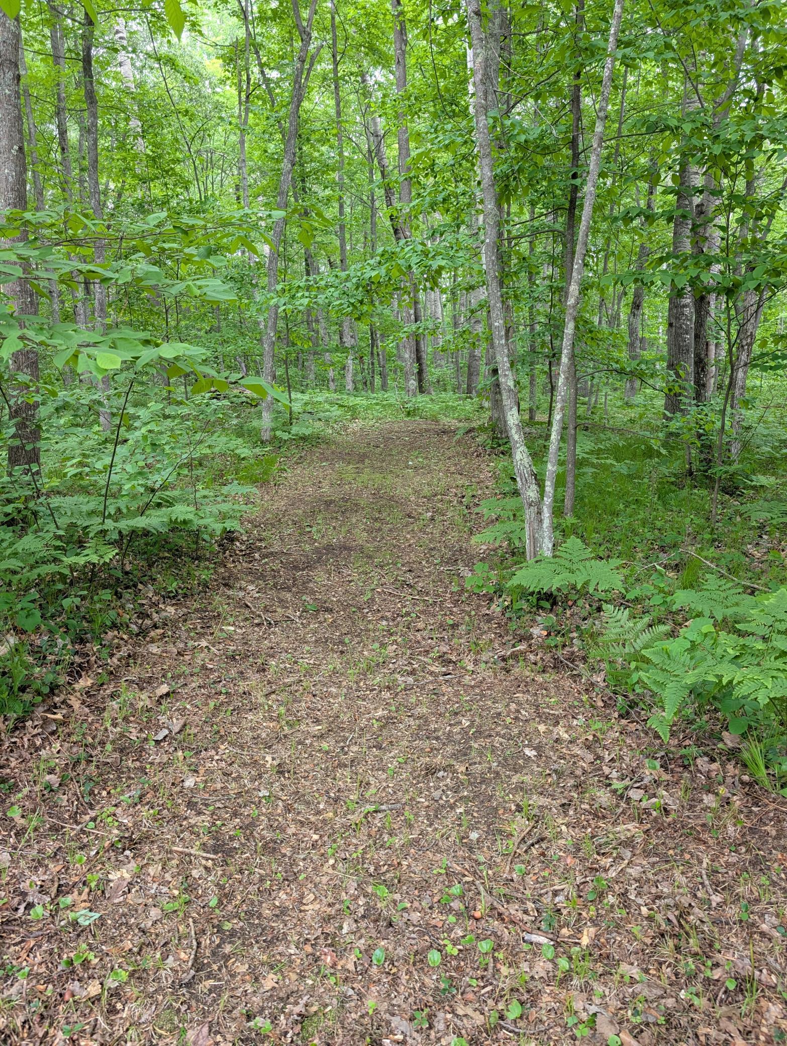 64100 East Ruth Lake Road Iron River, WI 54847 - Photo 11 of 16