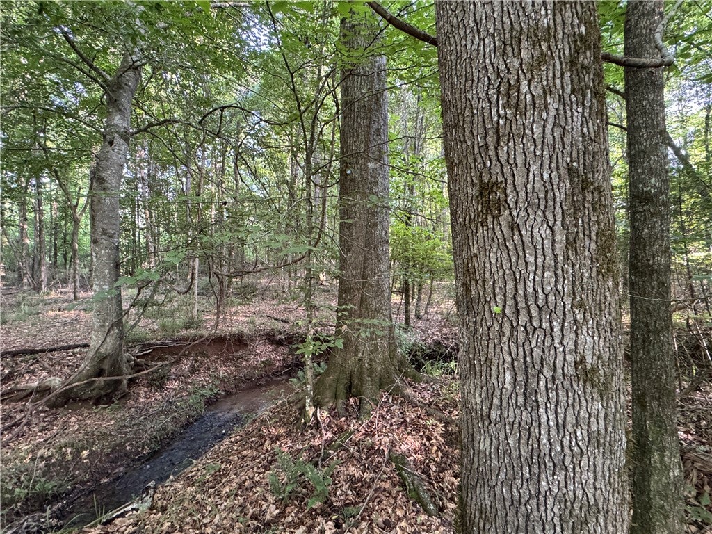 0 Trimble Road Camp Hill, AL 36850 - Photo 13 of 14 Gallery Image 13