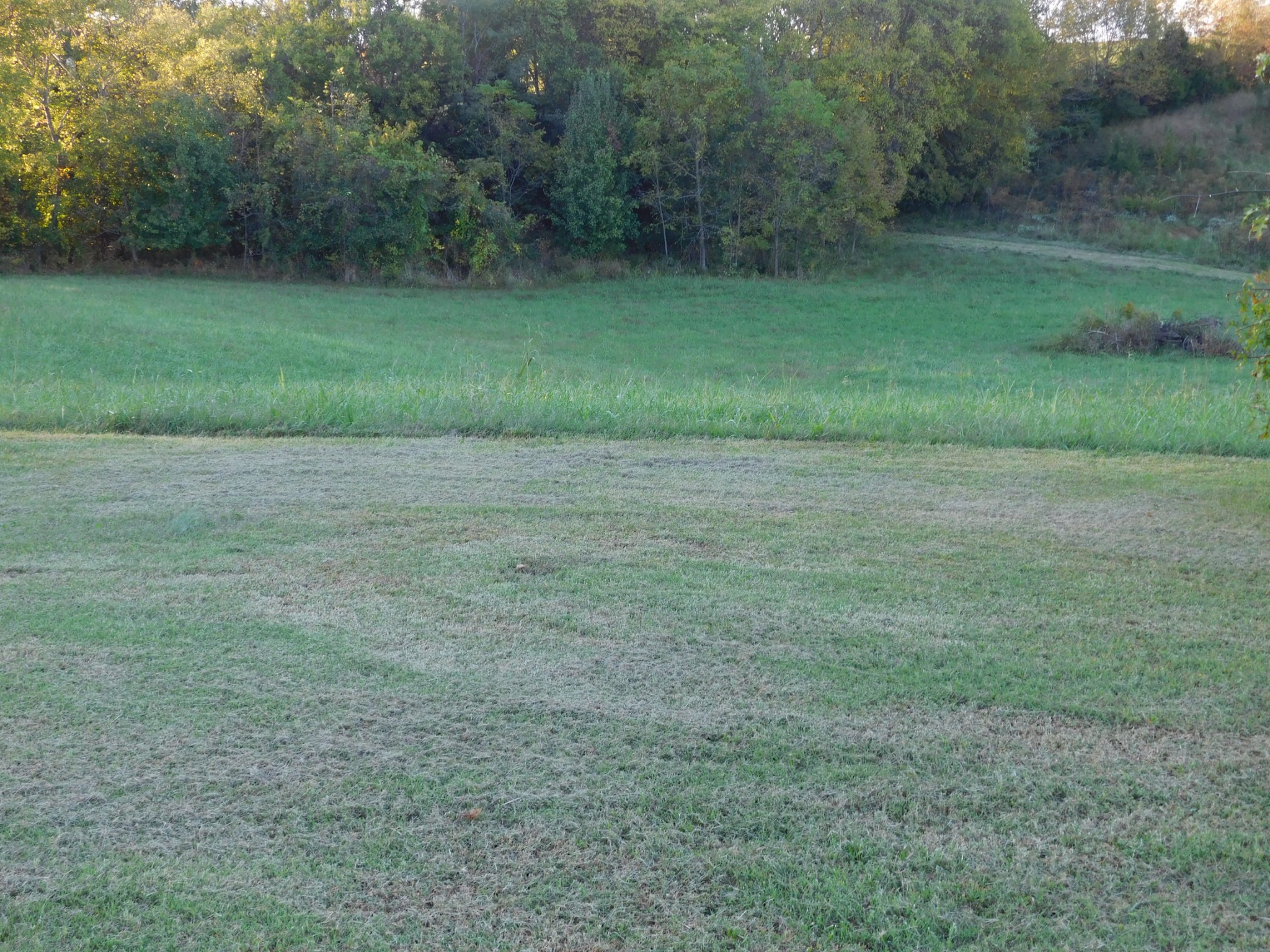 264 Fite Road Watertown, TN 37184 - Photo 11 of 43 a view of a field