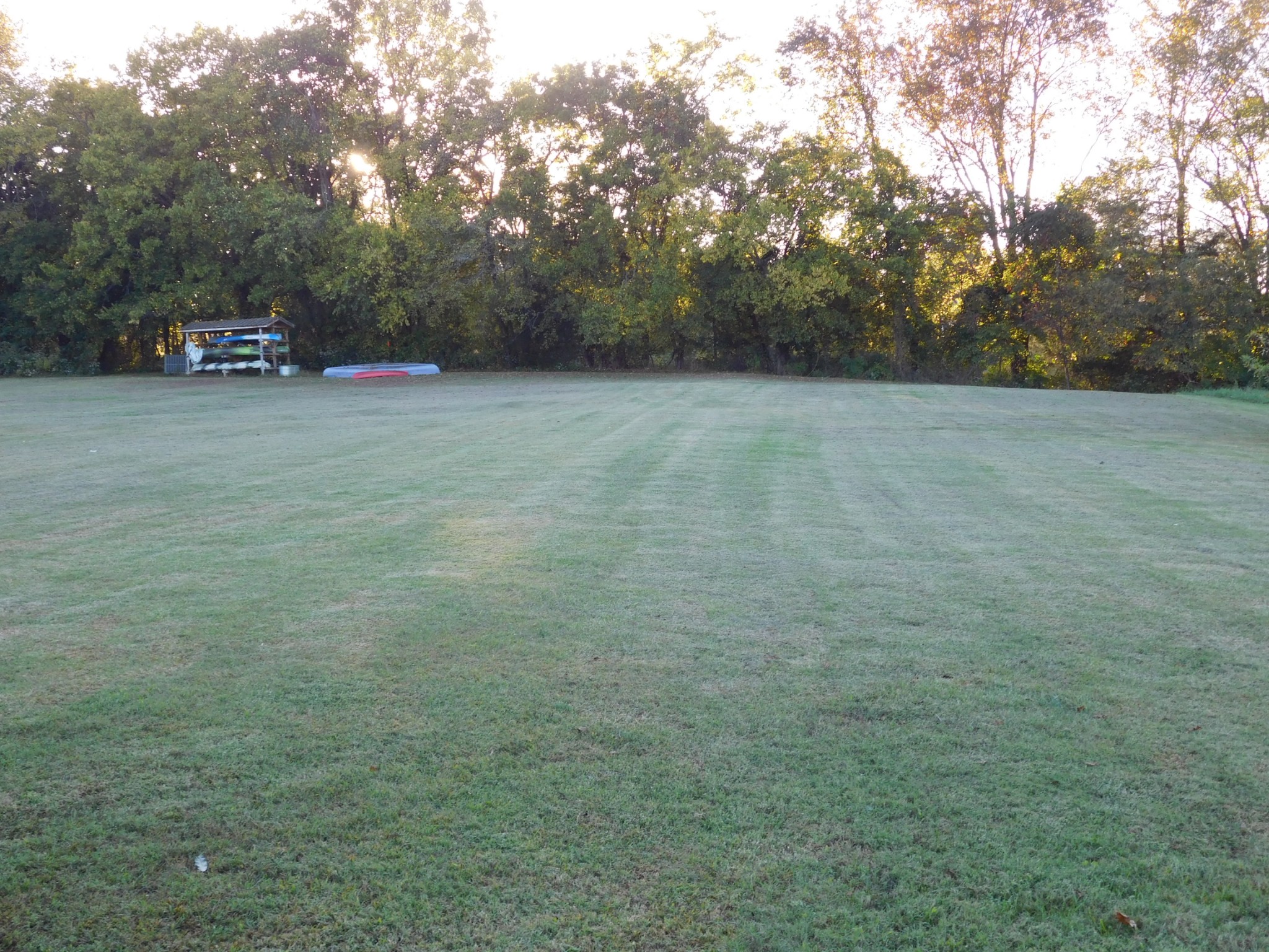 264 Fite Road Watertown, TN 37184 - Photo 12 of 43 a view of a yard with a trees