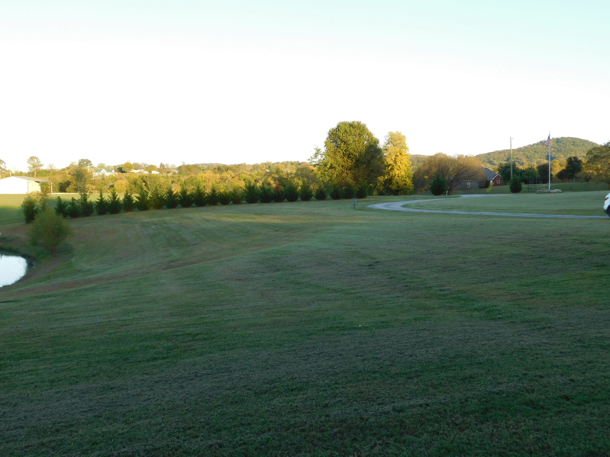 264 Fite Road Watertown, TN 37184 - Photo 13 of 43 a view of a field with an trees