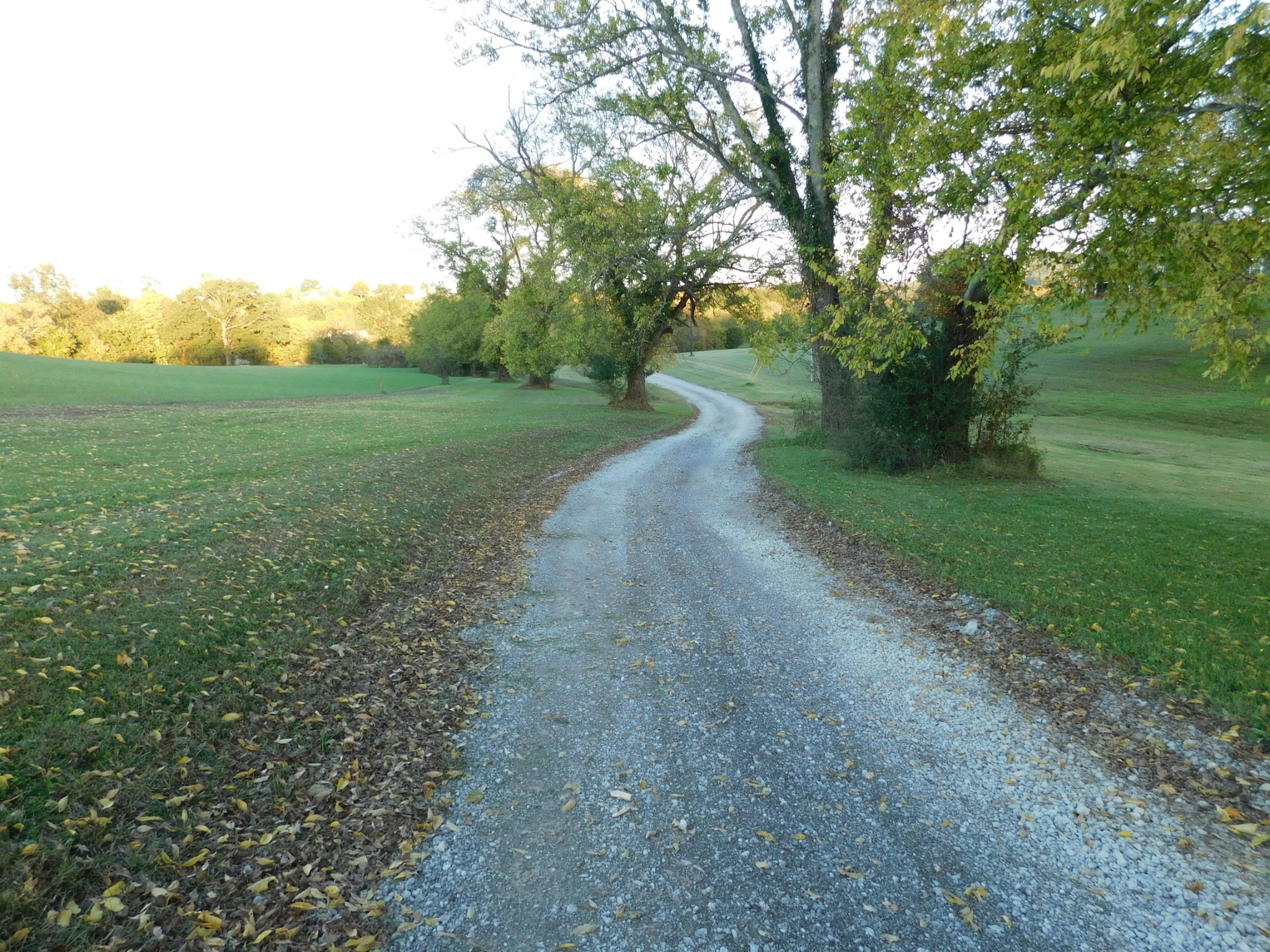 264 Fite Road Watertown, TN 37184 - Photo 14 of 43 a view of a road with a yard