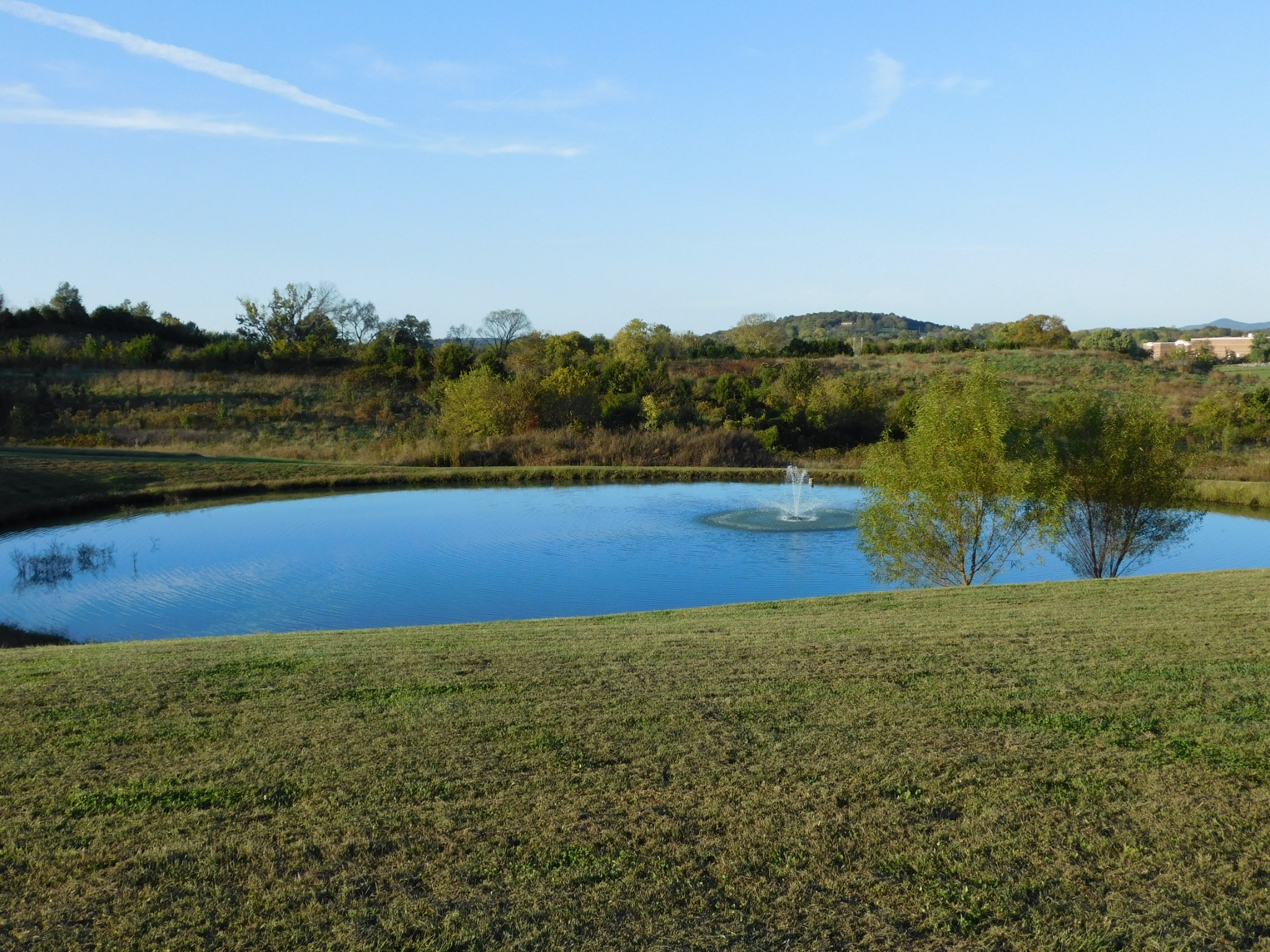 264 Fite Road Watertown, TN 37184 - Photo 4 of 43 a view of a lake with houses in the back