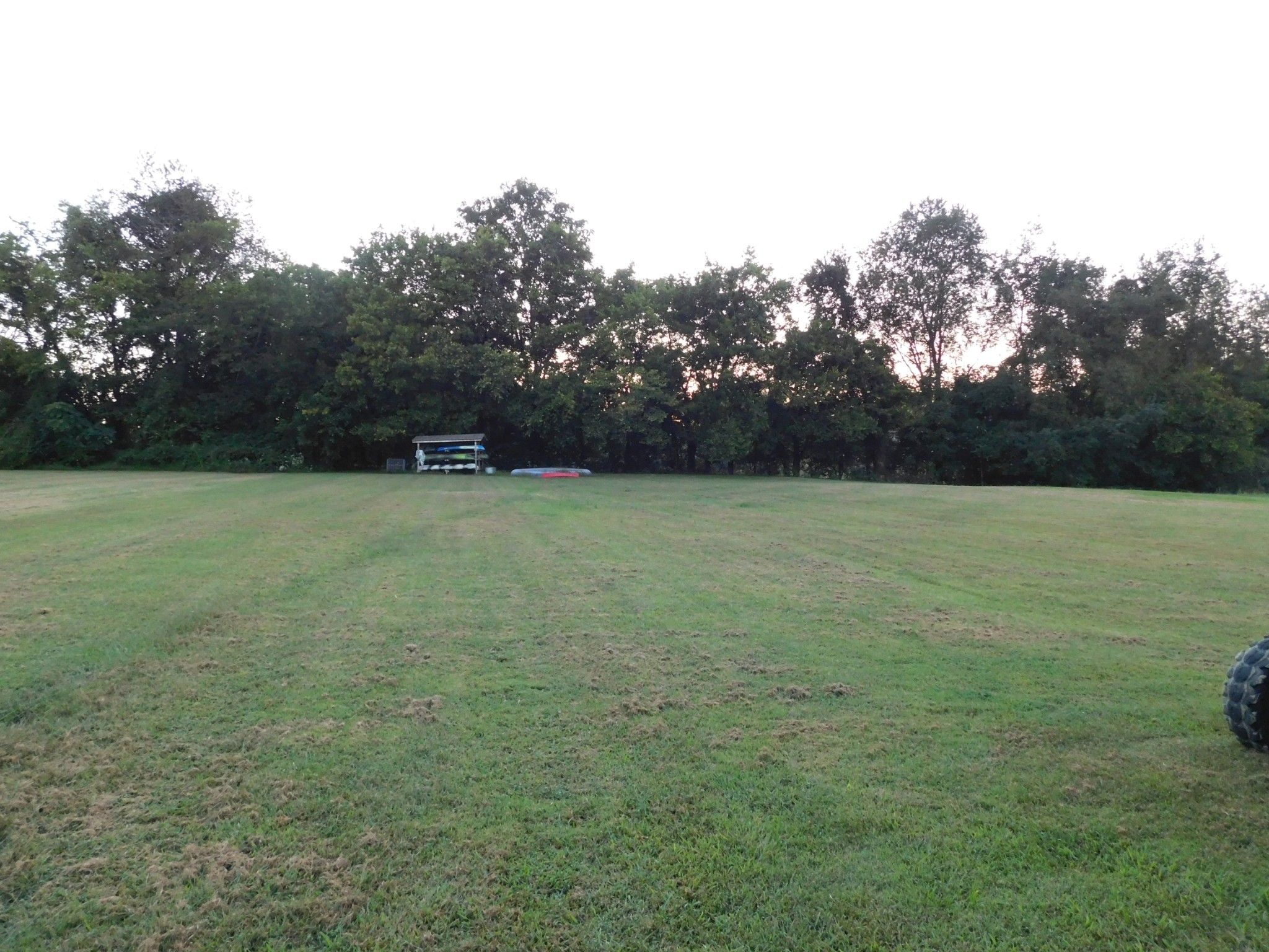 264 Fite Road Watertown, TN 37184 - Photo 10 of 43 a view of a field with trees in the background