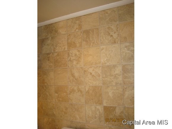1420 North 29th Street Springfield, IL 62702 - Photo 12 of 19