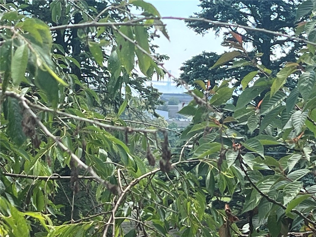 6 Aspinet Road Middletown, RI 02842 - Photo 28 of 28